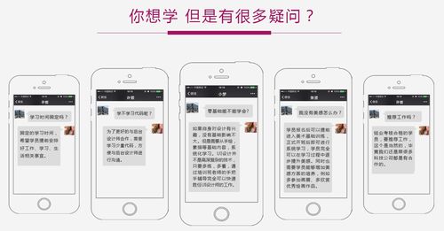 成都軟件開發(fā)與UI設(shè)計(jì)實(shí)訓(xùn)基地 零基礎(chǔ)學(xué)員招生與計(jì)算機(jī)軟件咨詢服務(wù)