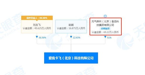 軟件開發(fā) 從概念到實(shí)現(xiàn)的旅程
